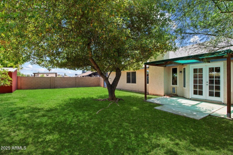 Backyard 2