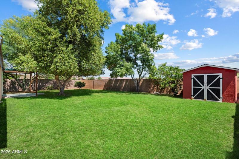 Backyard 3