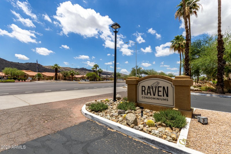 40 Raven