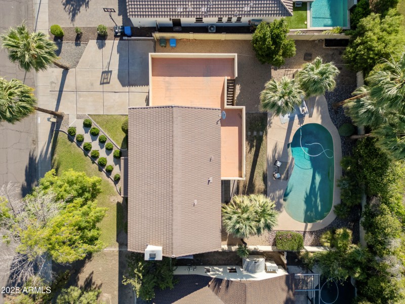 Terrace & Pool