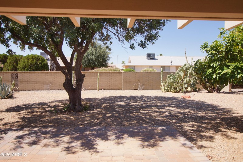 Large back yard