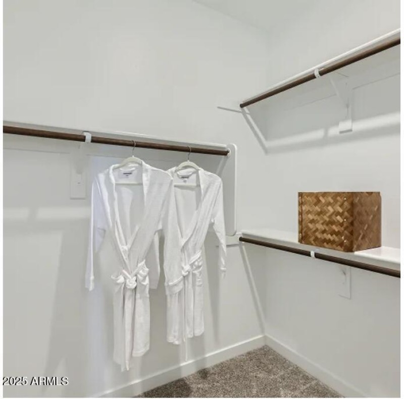 Owners Walk in Closet