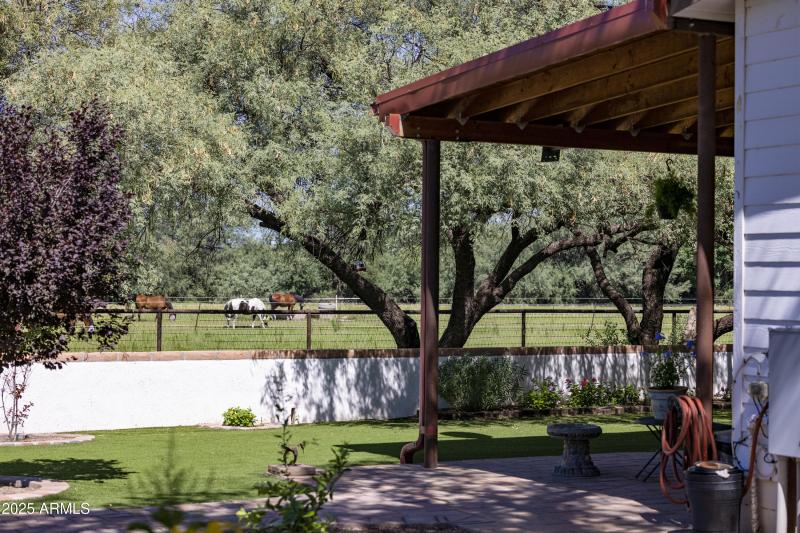 RS_MainHouse_Backyard_0483