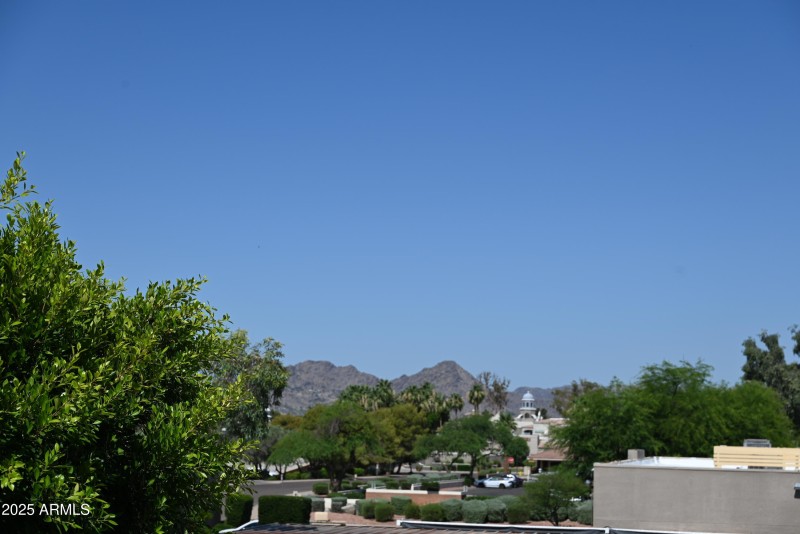 DSC_0234