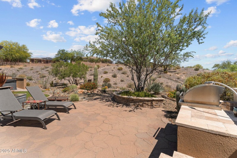 Large backyard
