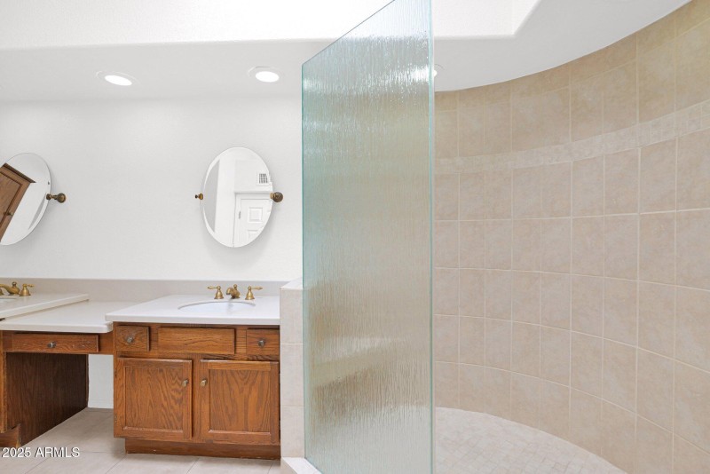 Primary Shower
