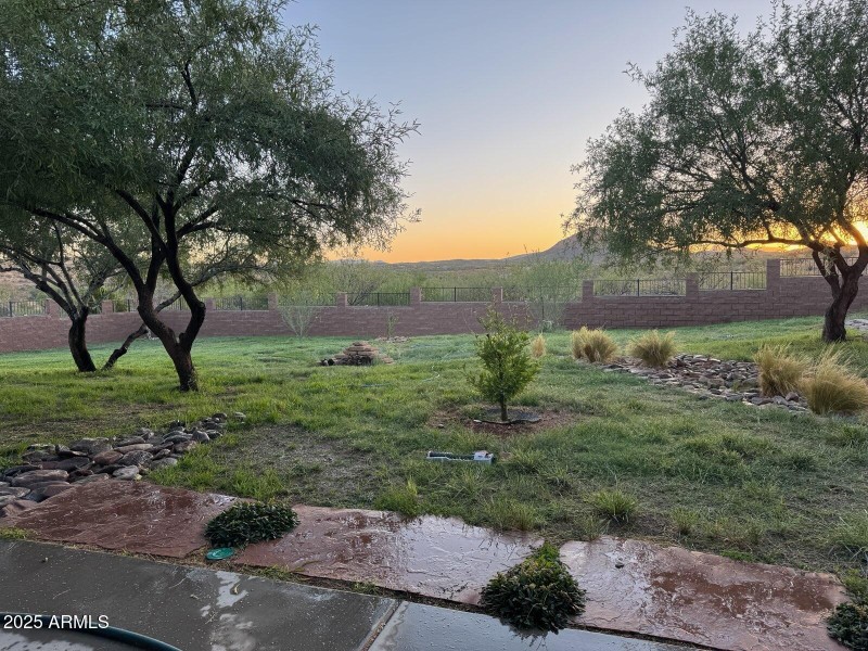 Sunset in Backyard