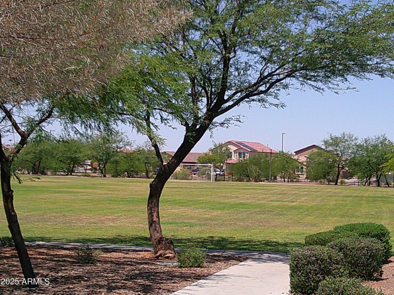 DSCF0019