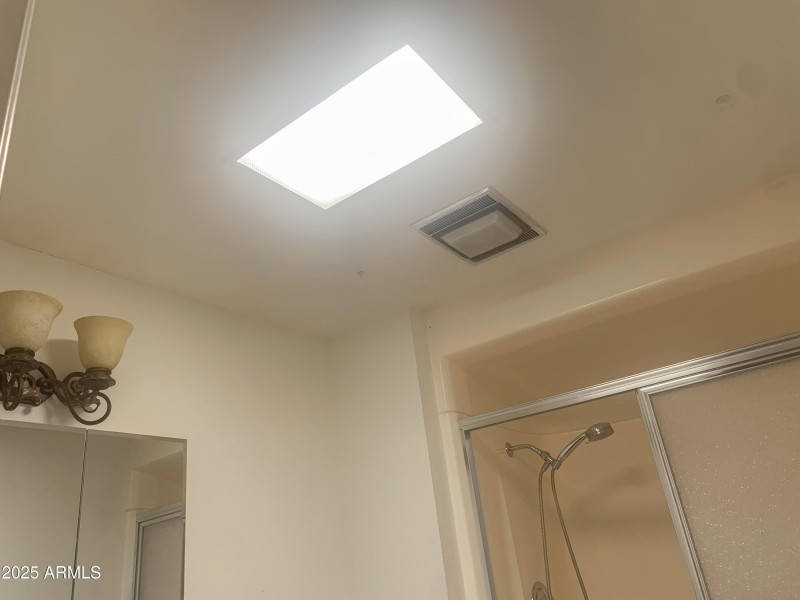 Primary Bathroom Skylight