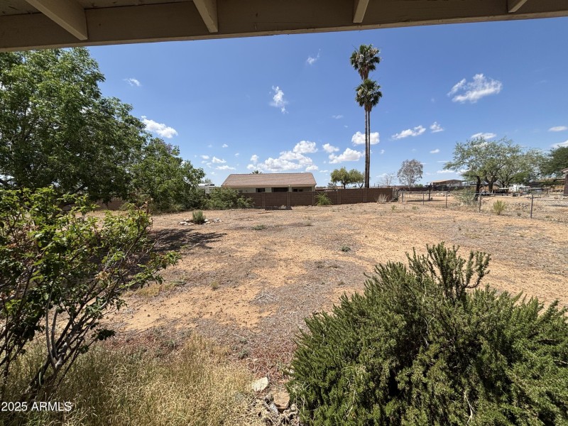 22875 Cactus Wren 2-13