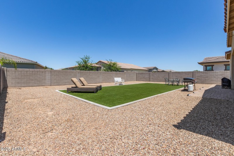 Back Yard I