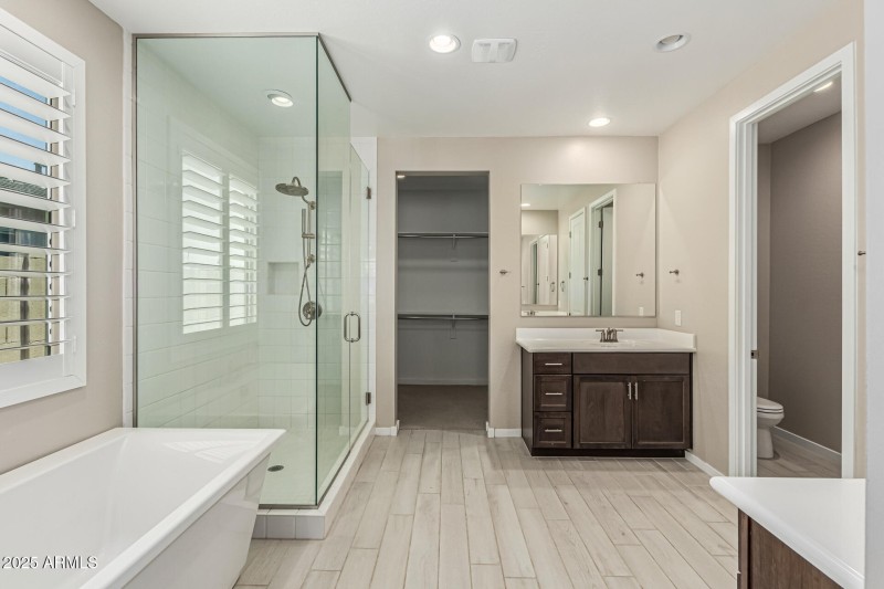 Primary Bathroom I