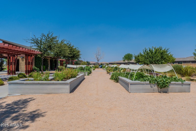 Community Flower Garden