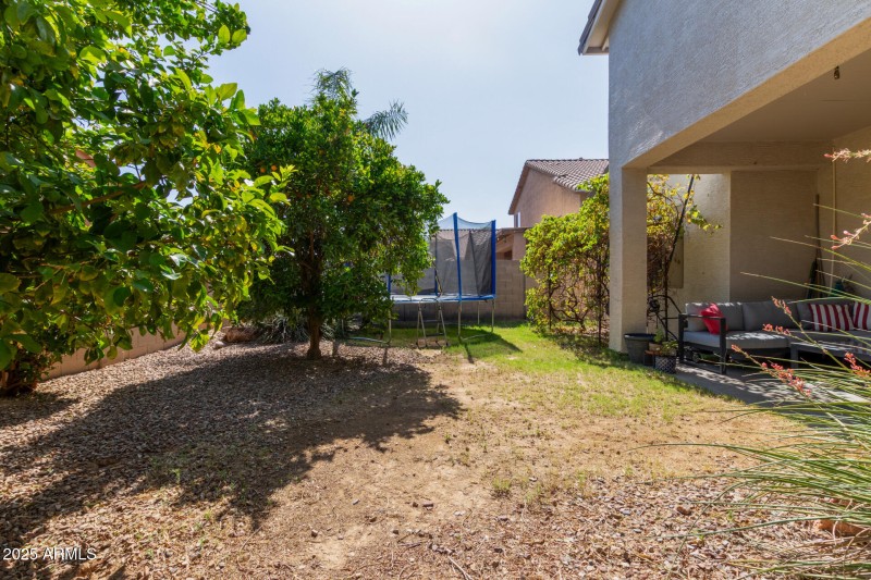 Spacious Backyard
