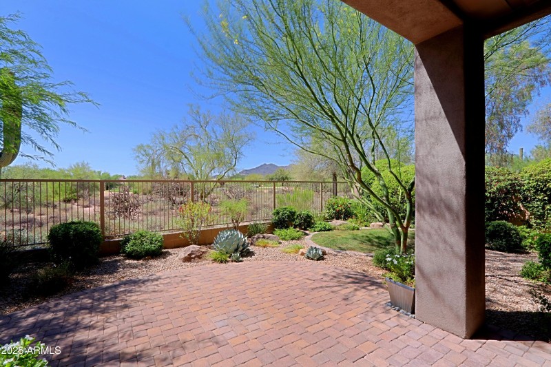 Backyard 1