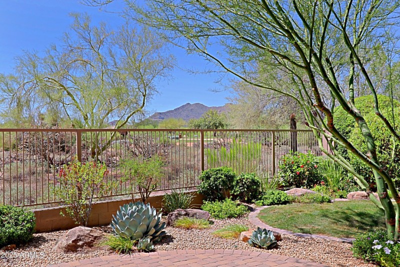 Backyard 2
