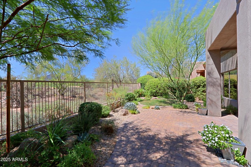 Backyard 4