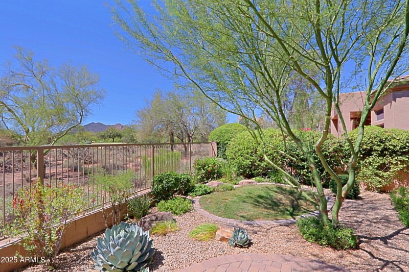 Backyard 5