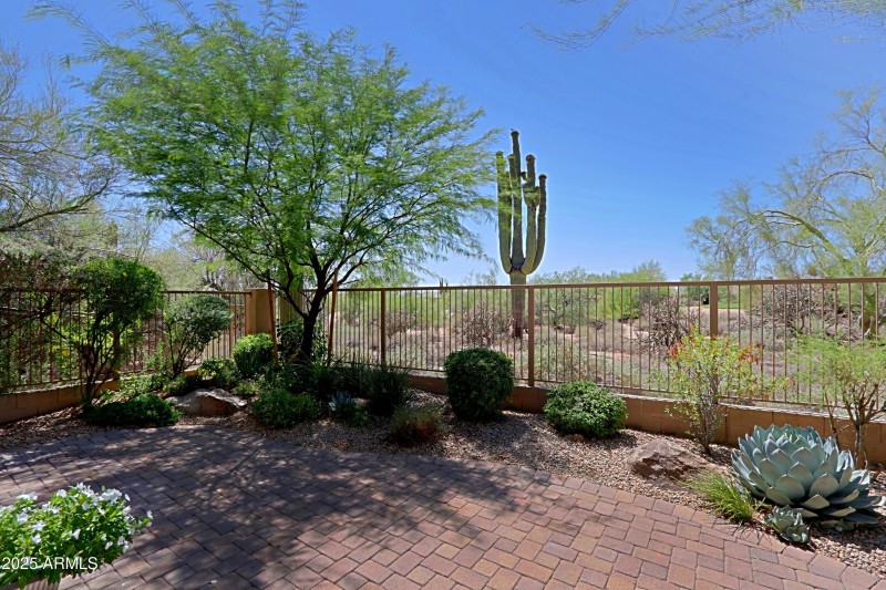 Backyard 7