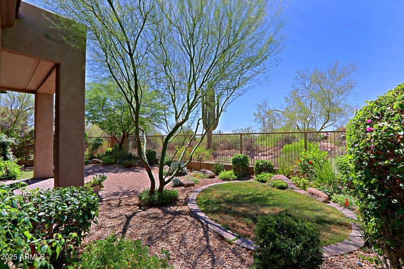 Backyard 10