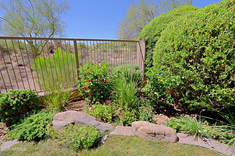 Backyard 11