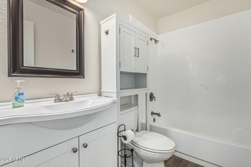 Owner's bathroom