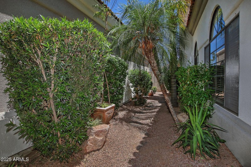 Side Yard