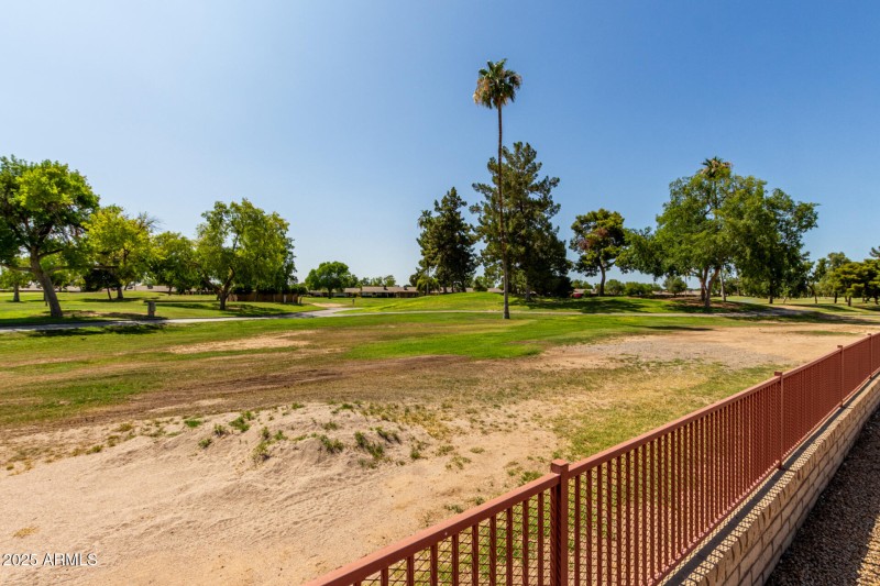 43 Palo Verde