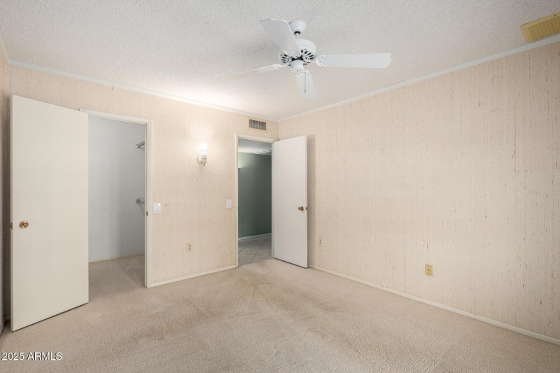 31 Palo Verde