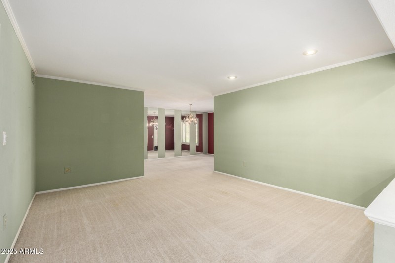10 Palo Verde
