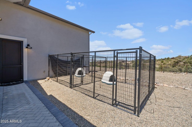 Dog Run