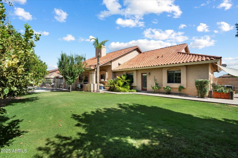 Large & Lush Yard