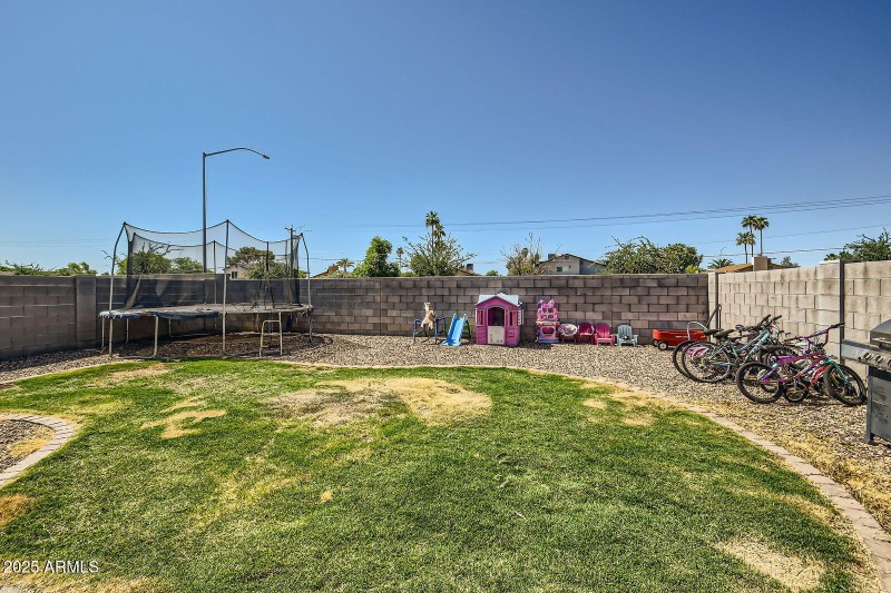 Backyard