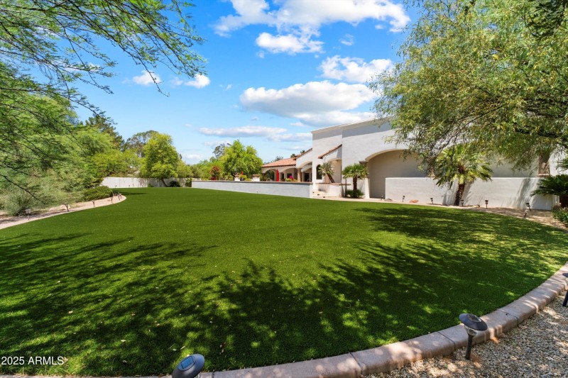 Backyard