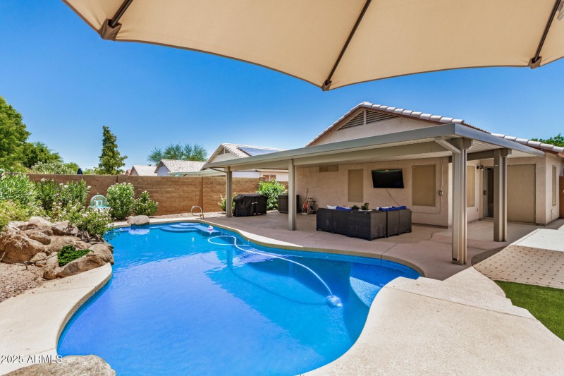 Backyard Oasis