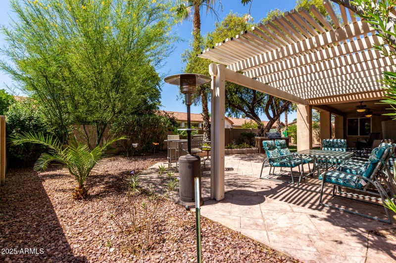 Back yard