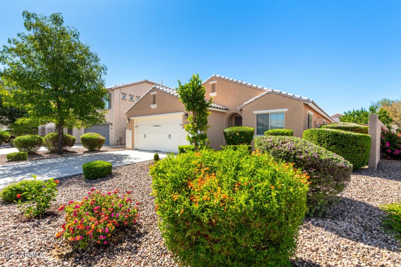 02 Front Yard2