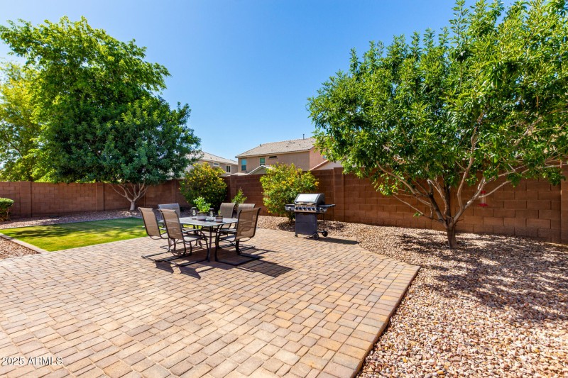 26 Backyard2