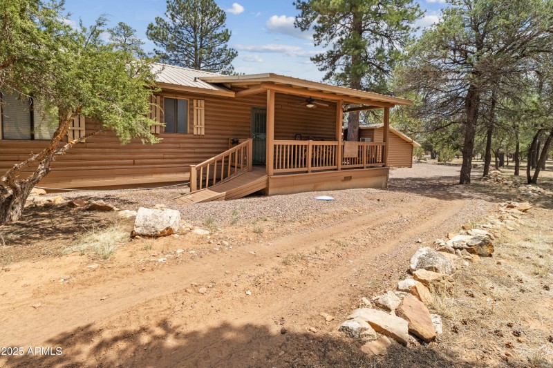 Back of the Cabin