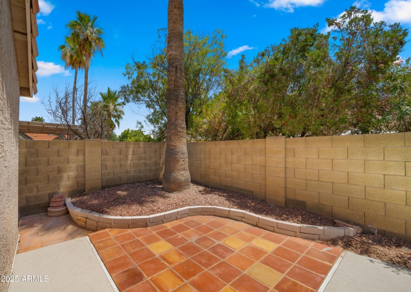 Backyard View 3