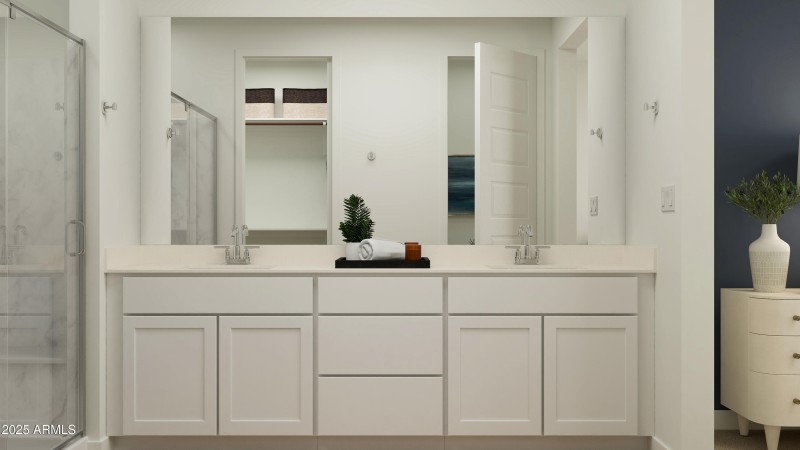 Owner's Bath