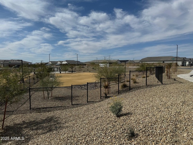 Dog park 2