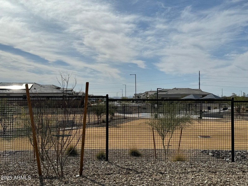 Dog park 5
