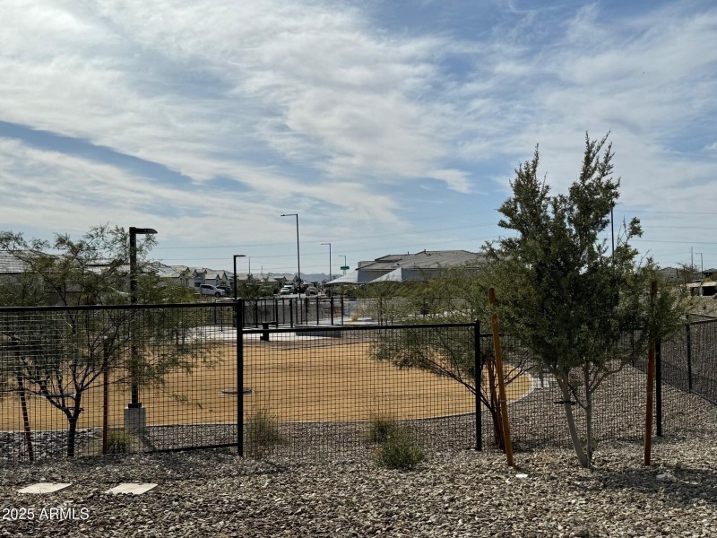 Dog park 6