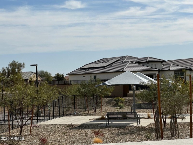 Dog park 7