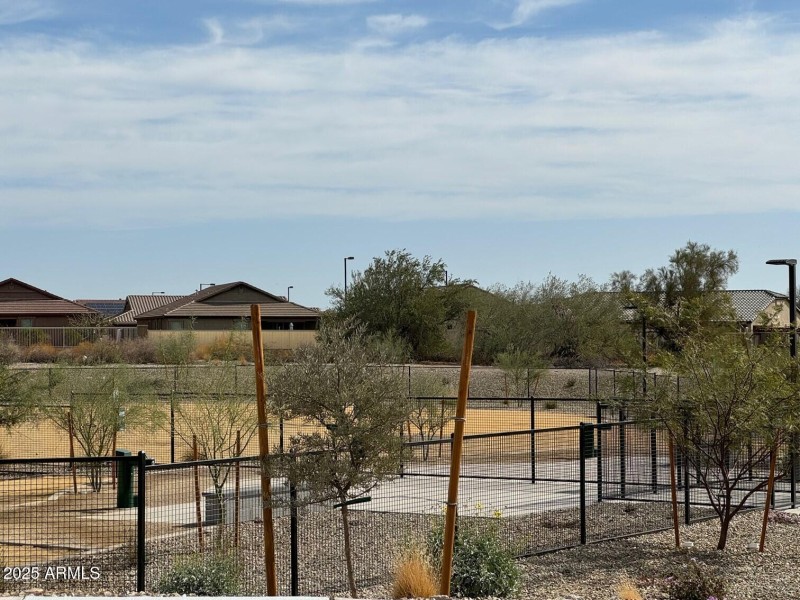 Dog park 8