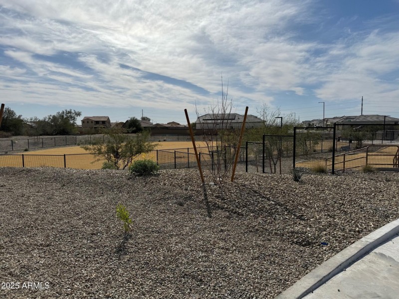 Dog park.