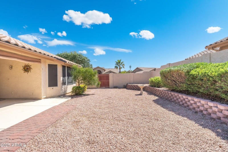 Low Maintenance backyard