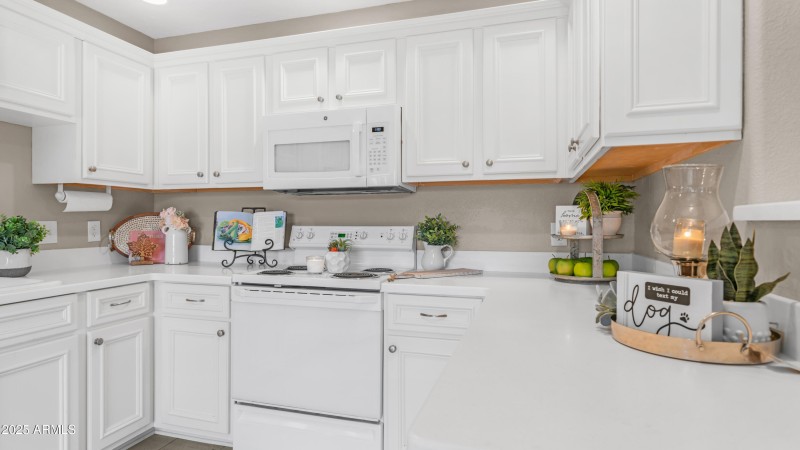15252 N 100th ST Unit 1654 (2)
