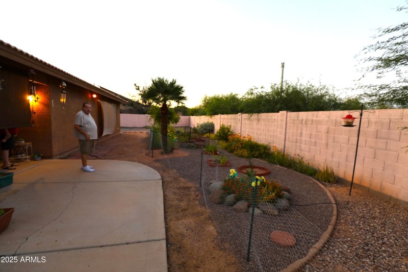 back yard